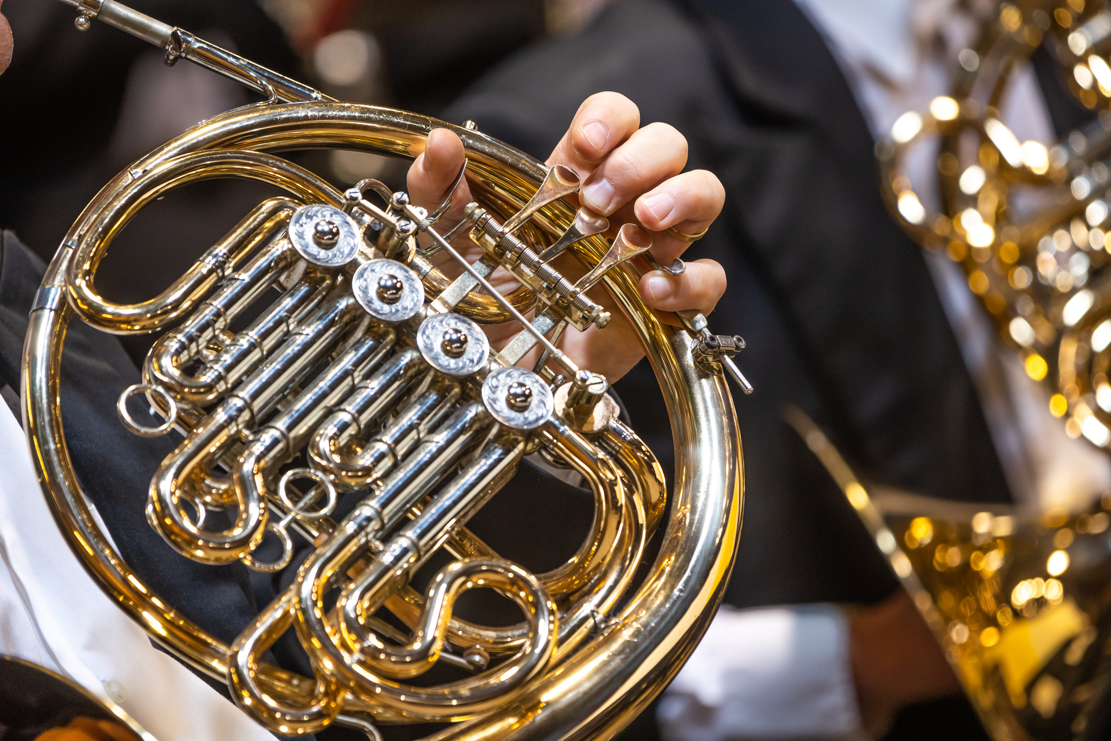 Philharmonic Orchestra Playing on the French Horn, Performance C